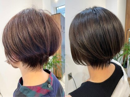 シーガル 本通店(SEAGULL III)の写真