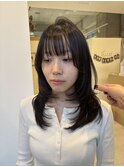 レイヤー