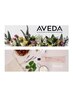 《パサつき→うるツヤ髪に》カット+カラー（AVEDA）ベーシックトリートメント
