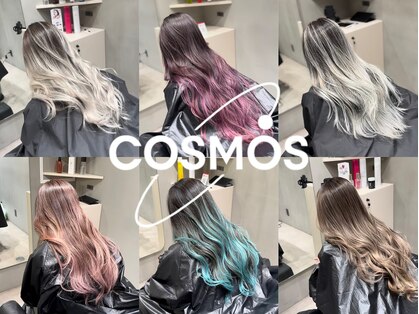 コスモス 町田(COSMOS)の写真