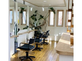 STELLAR 【ステラ】