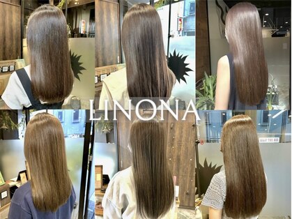 リノナ(Linona)の写真