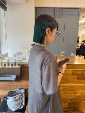 シロ(siro) 恐竜カラールーツカラー　ヘイリーボブ