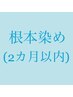 【ホームケア付スパ】カラーリタッチ+ヘッドスパトリートメント ￥8300