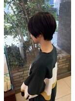 ファーレンピュアスウィート(fahren-pure-suite)&nbsp;ツーセクションBob