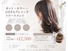 【梅コース】カット+全体ケアカラー+トリートメント ¥12500