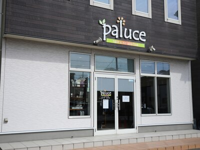 パルーチェ(paluce)