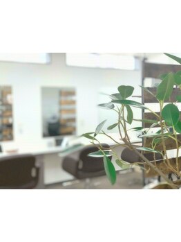 ≪近鉄四日市市駅徒歩3分≫落ち着く雰囲気のマンツーマンサロン♪ハイライトや脱白髪染めメニューが人気！