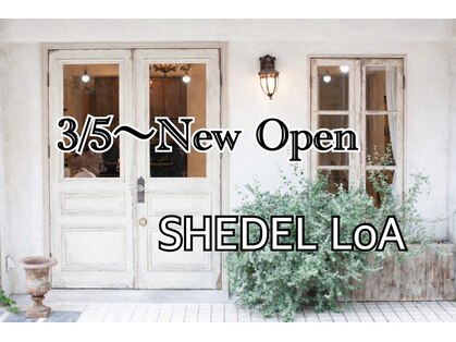 シェデルロア(SHEDEL LoA)の写真