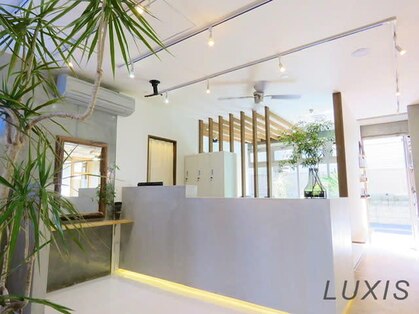 ラグシス(LUXIS)の写真