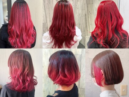 トムキャット(TOM CAT)の写真