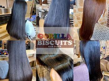 GORILLA BISCUITS　【ゴリラビスケッツ】