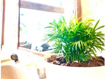 桜ビアンカ(桜bianca)の雰囲気（メンズがリラックスできる自然でカジュアル雰囲気）