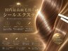 【国内最高級人毛100%】バージンレミーシールエクステ60本
