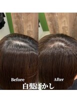 ヘア プレゴ 東陽町店(hair Prego) 白髪ぼかしBefore&After