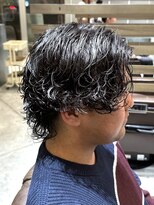 ノイセル(Noisyle)&nbsp;プードル風サーフカール