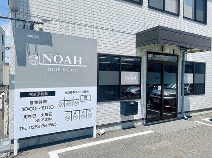 ノア(NOAH)の写真