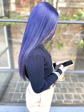 ノース(THE NORTH) 【ＴＨＥ　ＮＯＲＴＨ】フルブリーチ/ハイトーンカラー