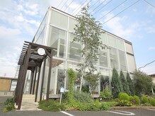 スカイフラワー(sky flower)