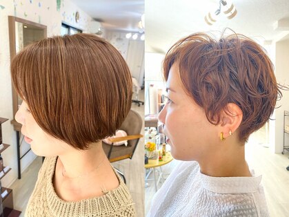 マロン(MARRON)の写真