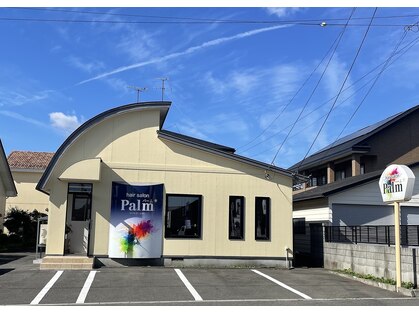 パーム(Palm)の写真