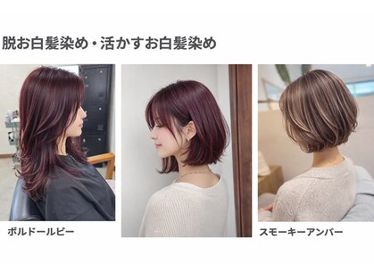 ロッティ(lotti)の写真