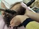 マツ 美容室(Matsu 美容室)の写真/【頭皮診断付き】ベル・ジュバンスヘッドエステでいつまでも美しい髪へ。頭皮のお悩みを解決し理想の美髪に