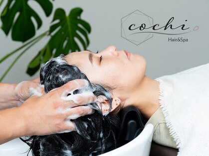 コチ(cochi)の写真