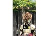 【8月1日～4日限定】浴衣着付けのみ 【メンズもOK】￥4,400-