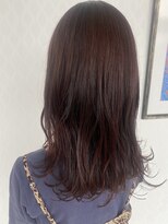 シーエーペッツ(CA-PETZ)&nbsp;【艶カラー】レッドブラウン/アースカラー/20代30代40代50代