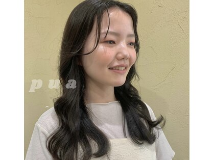 プア(PUA)の写真