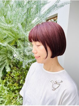 パライソ 南公園店(PARAISO) 秋冬オススメカラー