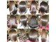 ヘアーソリソ(HAIR SORISO)の写真
