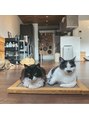 イーズ(e's) 我が家の保護猫のエナとルナの兄弟猫です！