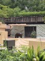 ルーラ(LAURA) 動物園や、水族館で癒されます