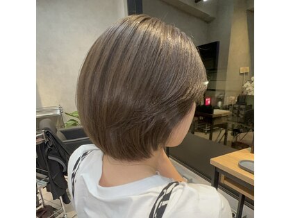 ズッカ(ZuKKa)の写真