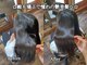 フィールカーム(Feel calm)の写真/お客様の髪の状態に合わせて薬剤を調整◎うねりやパサつきを無くし、やわらか質感の自然なストレートに♪