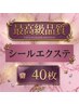 限定！【★★★★★とにかく1番良い毛質！】シール40枚￥20000→￥16000