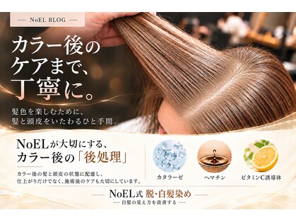 ノエル(NoEL)の写真
