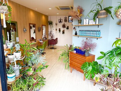 ヘアルーム ランカ(Hair Room LANKA)の写真