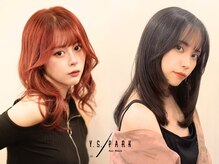 ワイエスパーク 代官山店(Y.S.PARK)