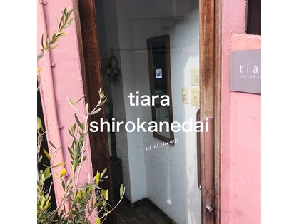 ティアラ 白金台(tiara)の写真
