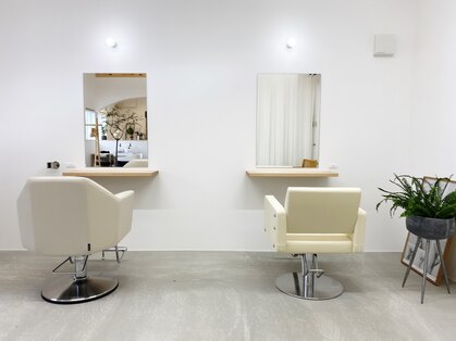 イケハ(IKEHA)の写真