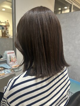 ガーベラ(gerbera) マットカラー