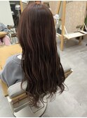 ピンクラベンダー