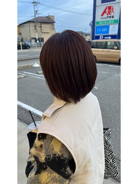 ザスカイ(THE SKY) レッドブラウン