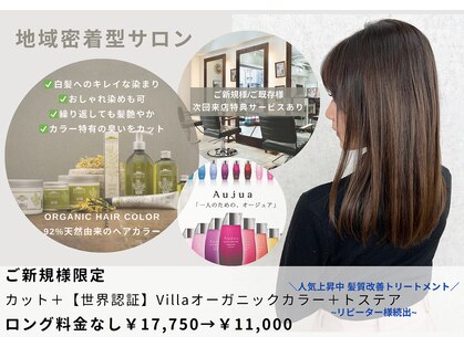 トトサ カミング(TOTOSA Coming)の写真