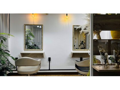 ボンドリー(Bondry)の写真