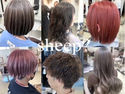 シープ(Sheep?)の写真