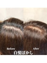 ヘア プレゴ 東陽町店(hair Prego) 白髪ぼかしBefore&After